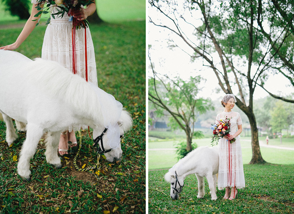 A Dreamy Wedding With Shetland Ponies At Beas River Country Club